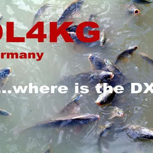 DL4KG