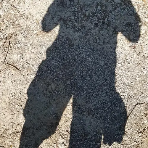 W5HF profile image