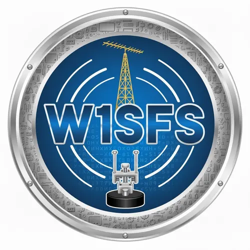W1SFS profile image