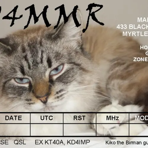 W4MMR profile image