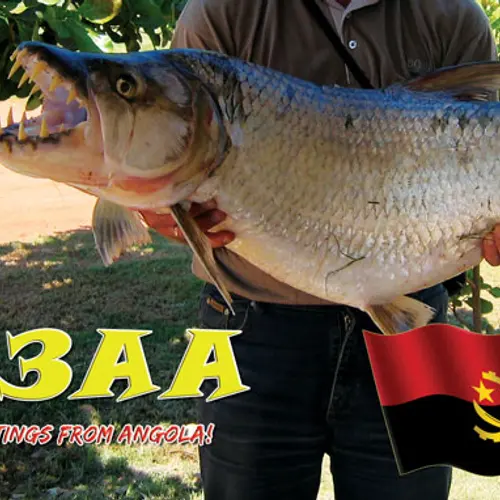 D3AA