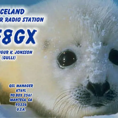 TF8GX profile image