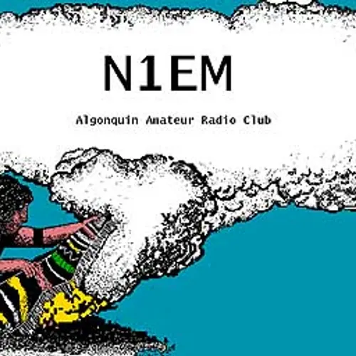 N1EM profile image