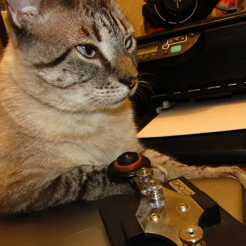 W4KLA profile image