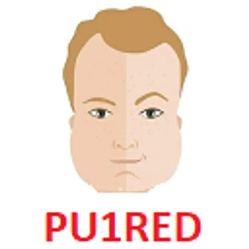 PU1RED profile image