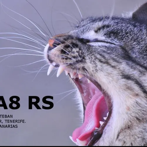 EA8RS