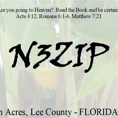 N3ZIP profile image