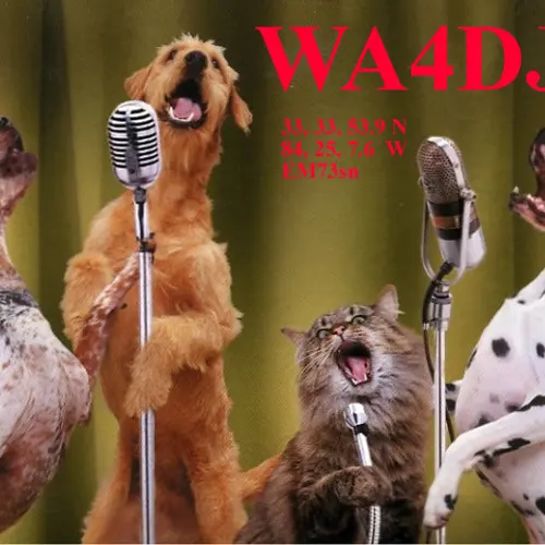 WA4DJP profile image