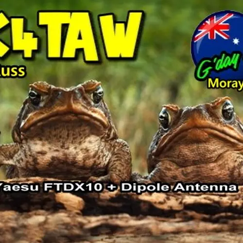 VK4TAW profile image