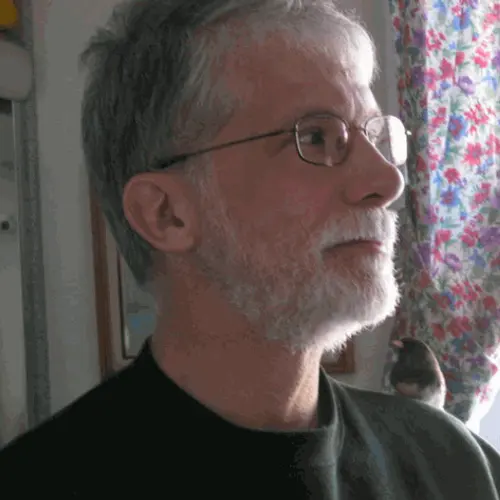 NE1I profile image