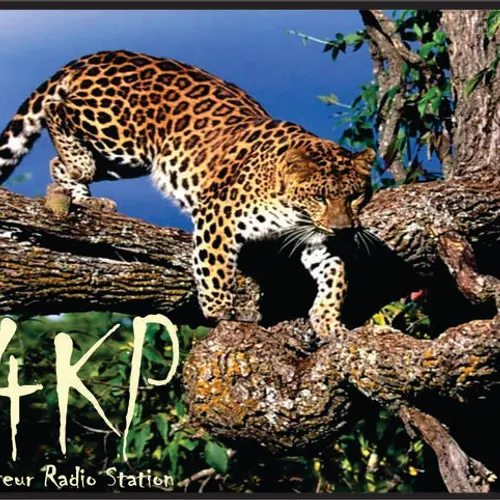 PY4KP profile image