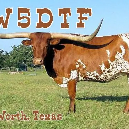 W5DTF profile image