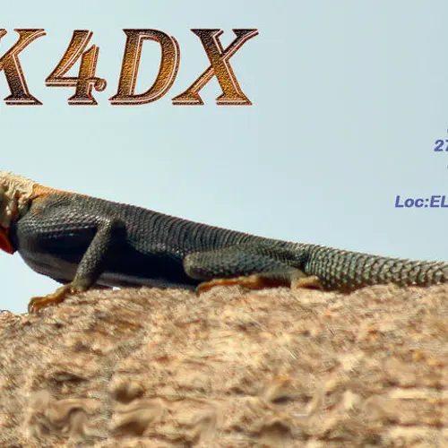 WK4DX profile image