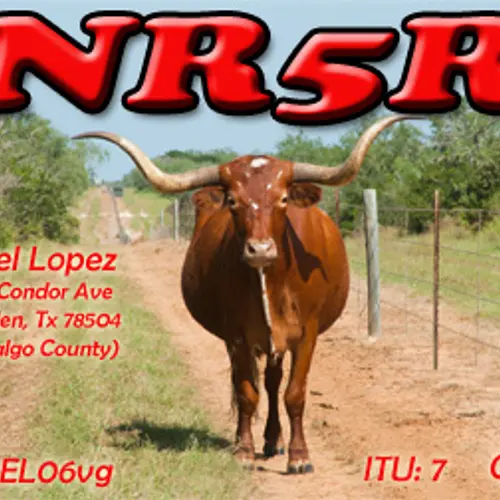 NR5R profile image