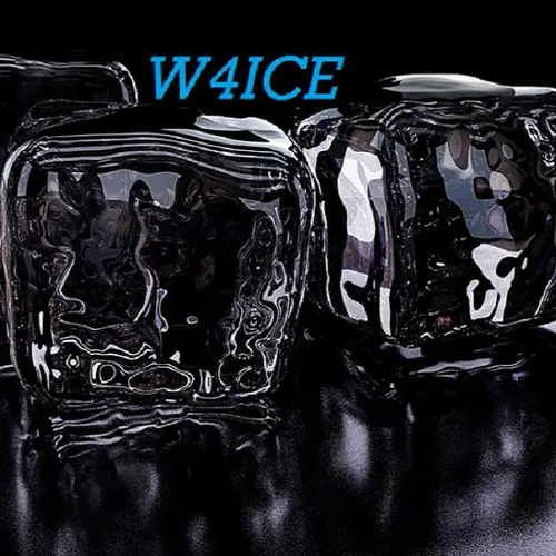 W4ICE profile image