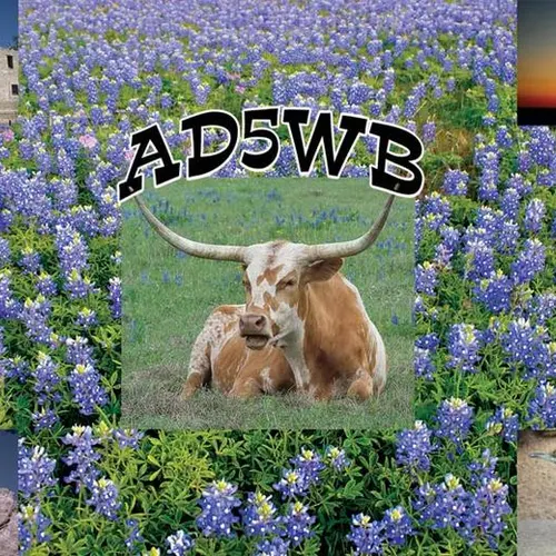 AD5WB