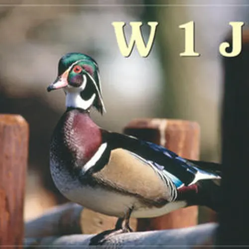 W1JQ profile image