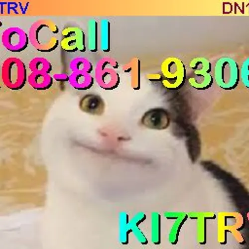 WA7WWW profile image