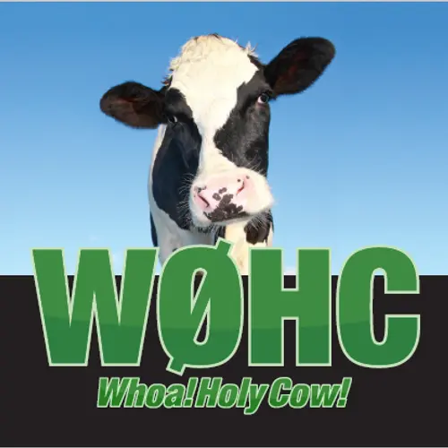 W0HC profile image