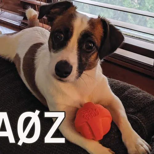 AA0Z