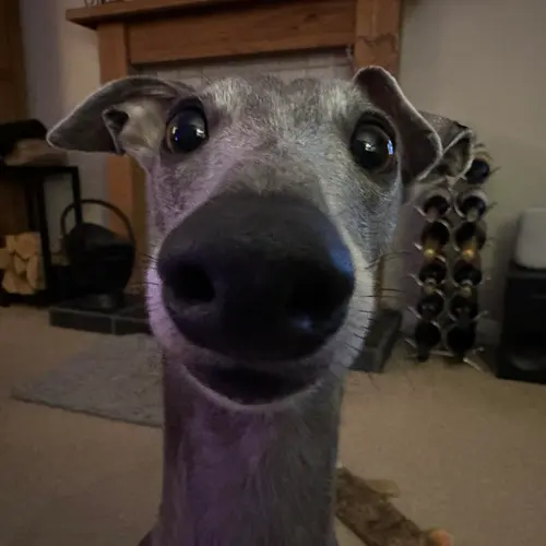 M0WND profile image