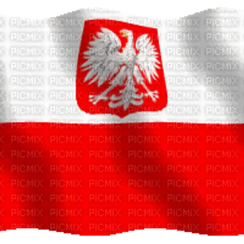 SP9APA profile image