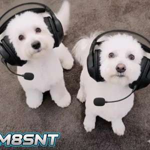 M8SNT profile image