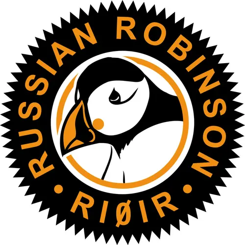RI0IR profile image