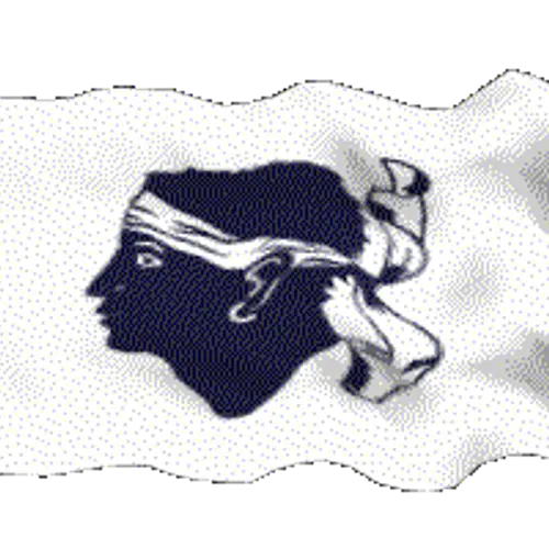 TK4NU profile image