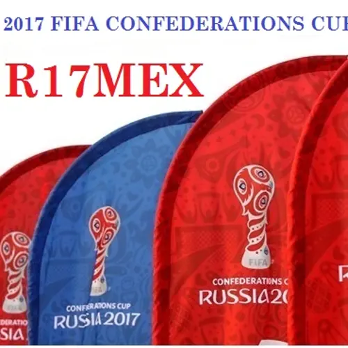 R17MEX profile image