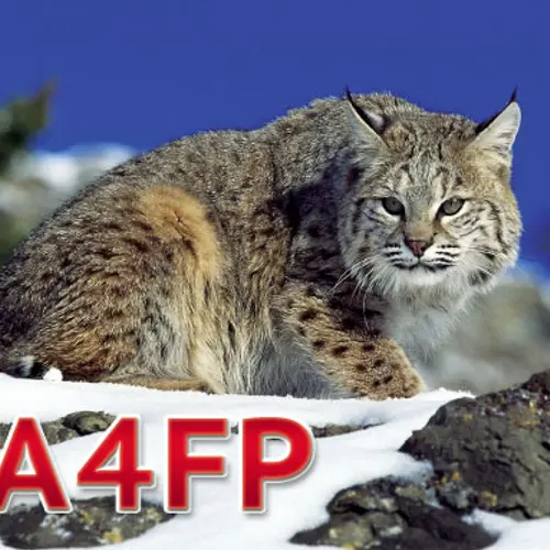 RA4FP profile image