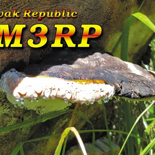 OM3RP profile image
