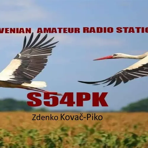 S54PK profile image