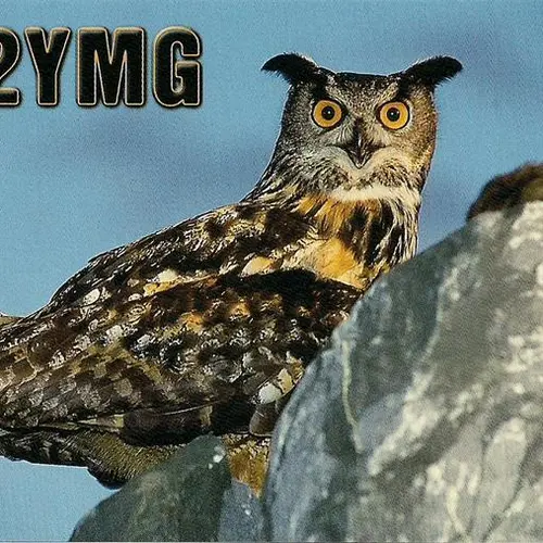 DL2YMG