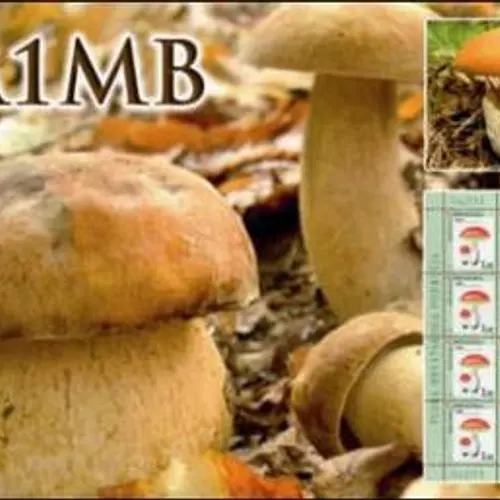 9A1MB