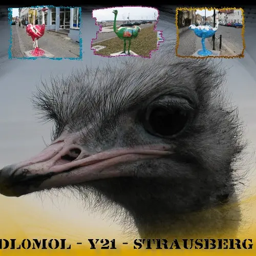 DL0MOL