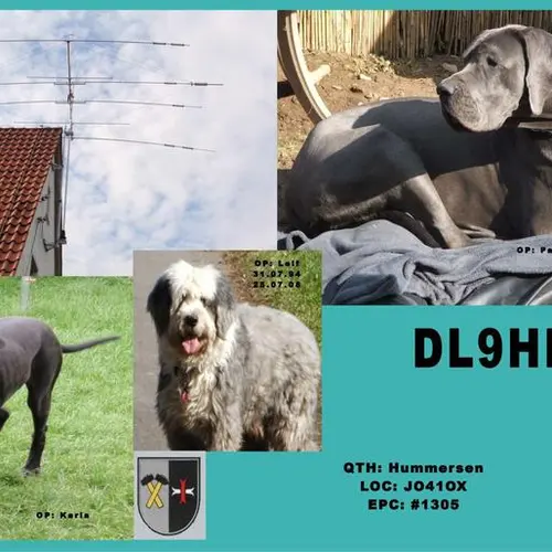 DL9HK
