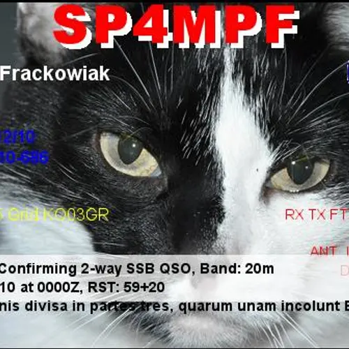 SP4MPF profile image