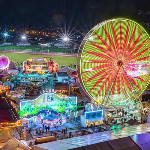 OE8WIESN profile image