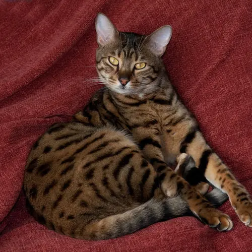 M0OIC profile image