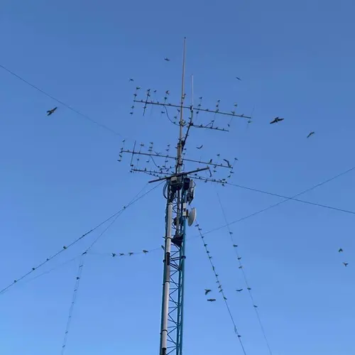 DL5CG