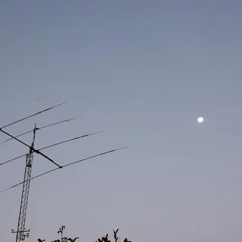 CT7ARP