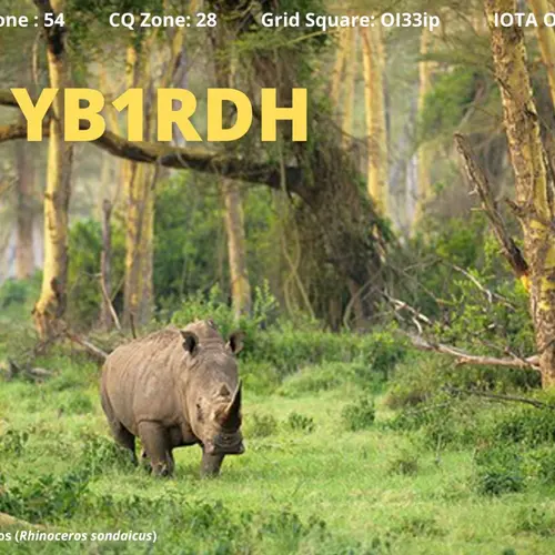 YB1RDH profile image