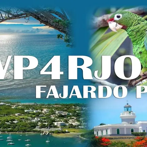 WP4RJO profile image