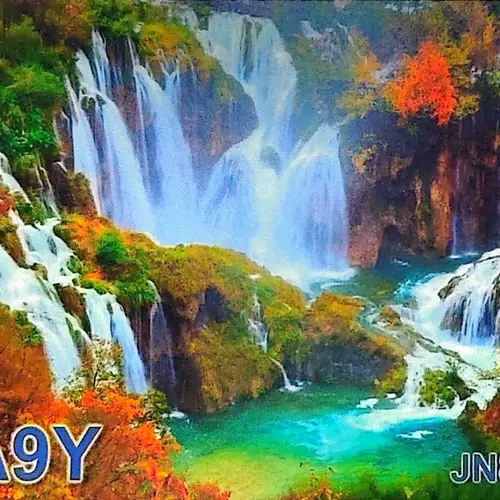 9A9Y