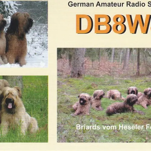DB8WJ
