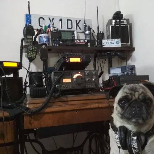 CX1DK