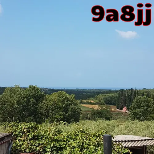 9A8JJ