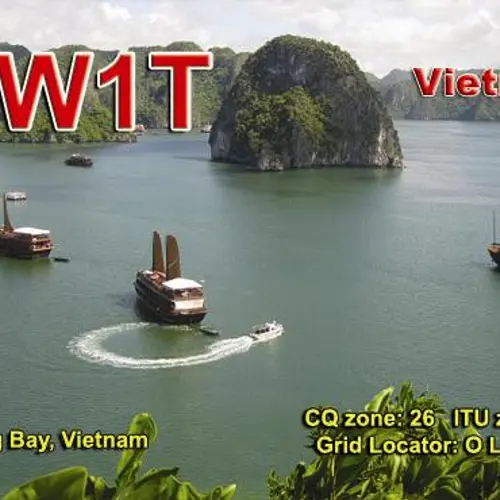 3W1T