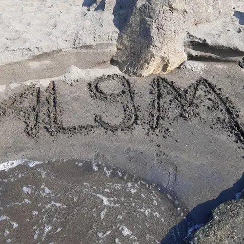 4L9M